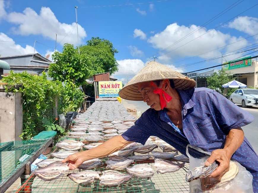 Đồng Tháp: Trên đà trở thành một trong những tỉnh biên giới phát triển toàn diện.